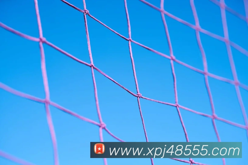 新葡京在线网址APP 封面图