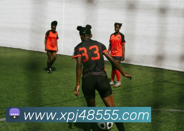 数据防护可视化